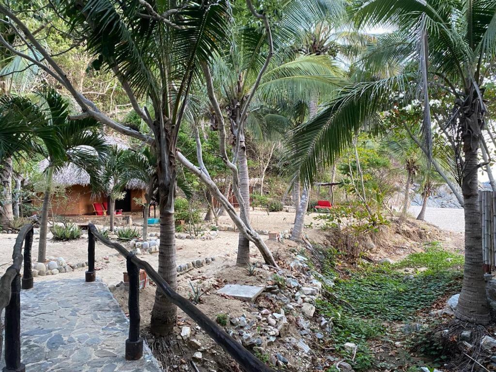 Hotel Bahia De La Luna Arroyo Cruz Dış mekan fotoğraf