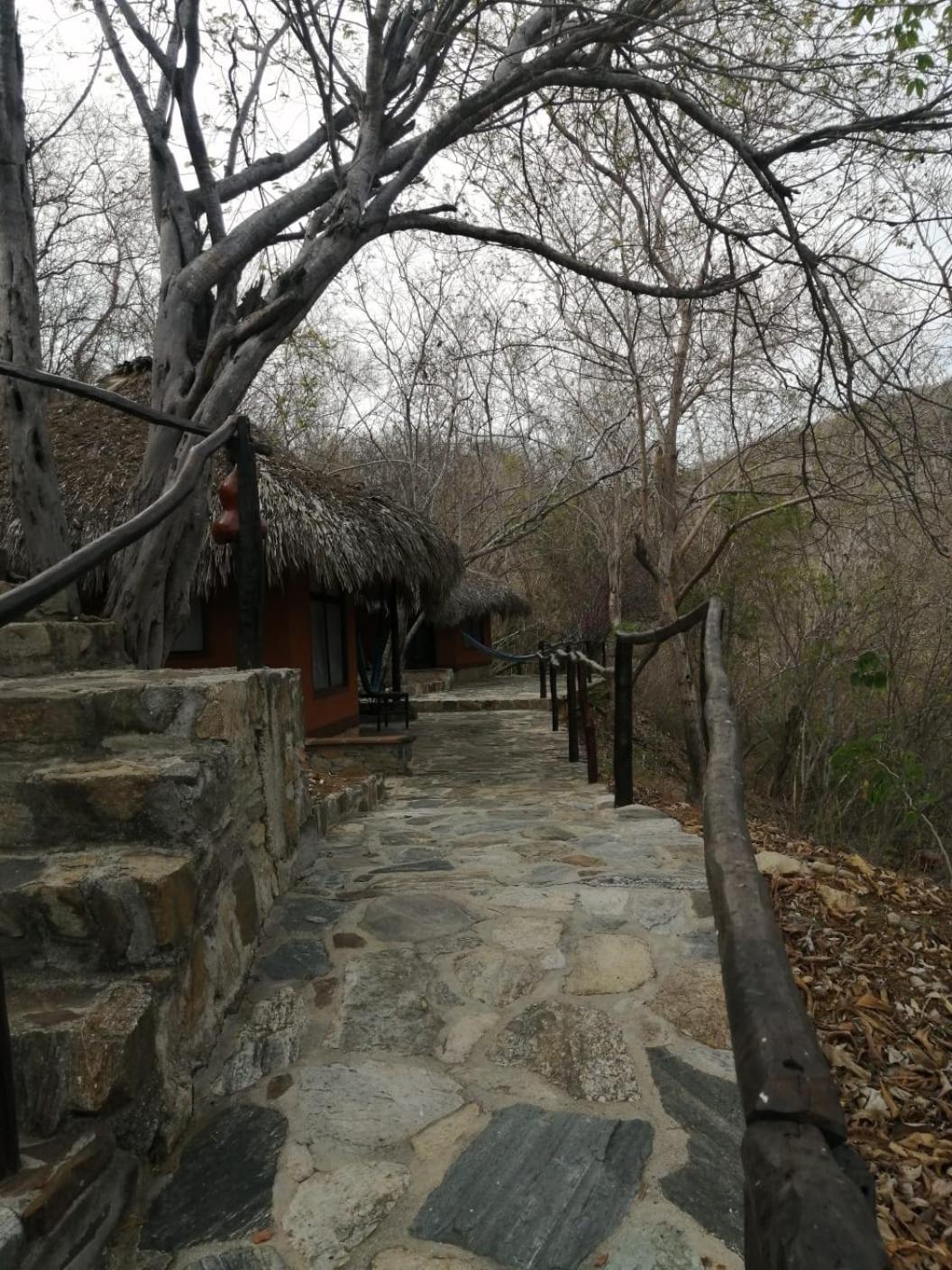Hotel Bahia De La Luna Arroyo Cruz Dış mekan fotoğraf
