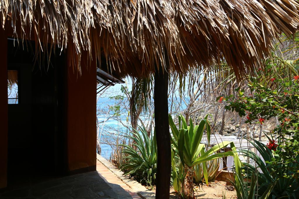 Hotel Bahia De La Luna Arroyo Cruz Dış mekan fotoğraf