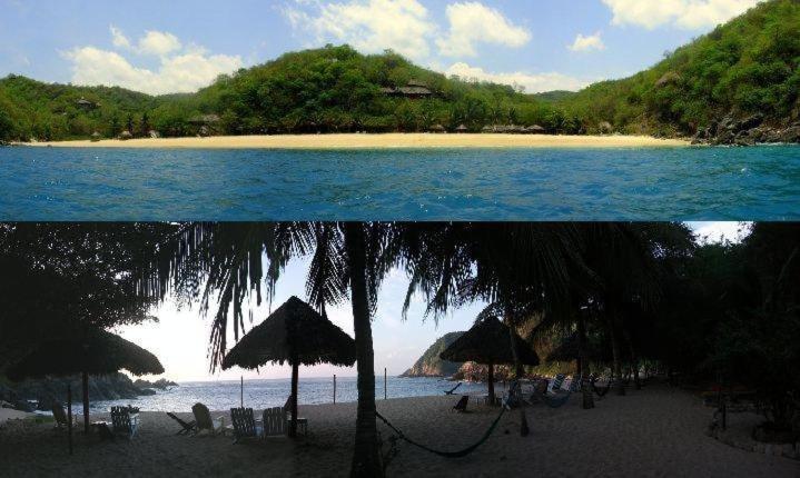 Hotel Bahia De La Luna Arroyo Cruz Dış mekan fotoğraf