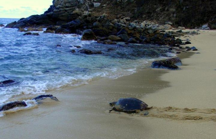 Hotel Bahia De La Luna Arroyo Cruz Dış mekan fotoğraf